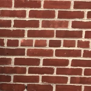 Meet your Posher, Lila